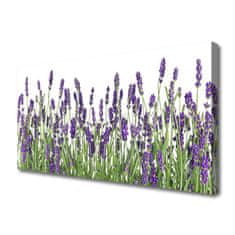 tulup.si Slika na platnu Cvetovi rastlin narava 100x50 cm
