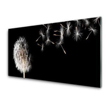 tulup.si Slika na akrilnem steklu Dandelion flower drops 2 obešalnika
