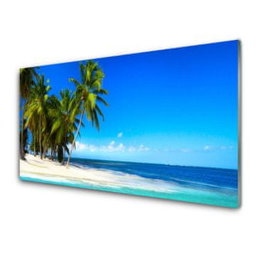 tulup.si Slika na akrilnem steklu Palm tree morje landscape 4 obešalnika