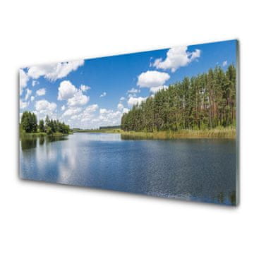 tulup.si Slika na steklu Lake forest landscape 4 obešalnika