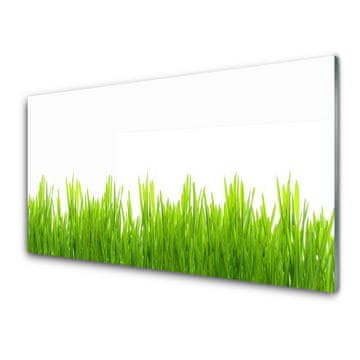 tulup.si Slika na akrilnem steklu Grass nature rastlin 4 obešalnika