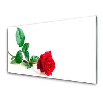 tulup.si Slika na akrilnem steklu Rose flower rastlin narava 4 obešalnika