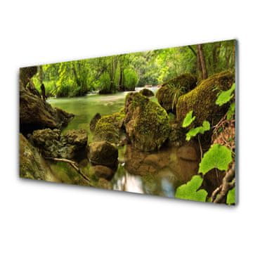 tulup.si Slika na akrilnem steklu Rock lake nature 2 obešalnika
