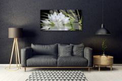Slika na steklu Water lily cvetje 100x50 cm 2 obešalnika