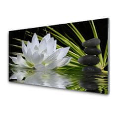 tulup.si Slika na steklu Water lily cvetje 100x50 cm 4 obešalnika