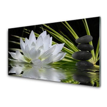 tulup.si Slika na steklu Water lily cvetje 4 obešalnika