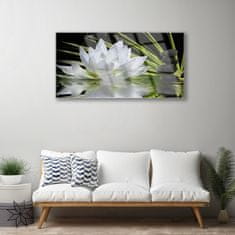 Slika na steklu Water lily cvetje 100x50 cm 2 obešalnika