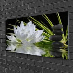 tulup.si Slika na steklu Water lily cvetje 100x50 cm 4 obešalnika