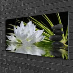 Slika na steklu Water lily cvetje 100x50 cm 2 obešalnika