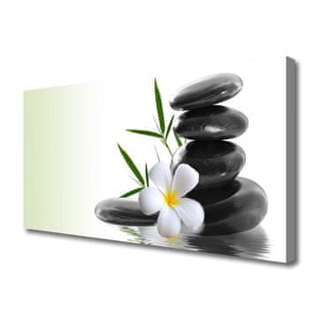 tulup.si Slika na platnu Flower stones art