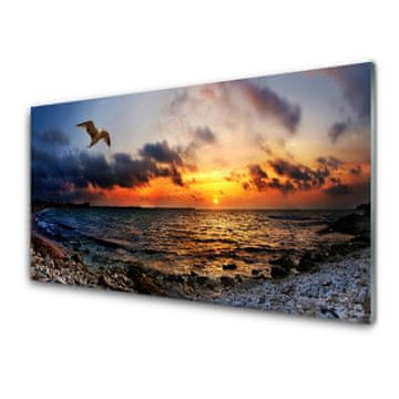 tulup.si Steklena slika Sea gull beach landscape 2 obešalnika