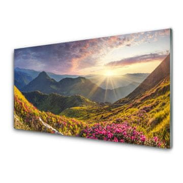 tulup.si Slika na steklu Sun mountain travnik landscape 2 obešalnika