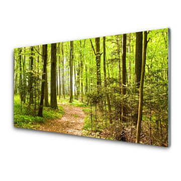 tulup.si Slika na akrilnem steklu Forest narava pot 2 obešalnika