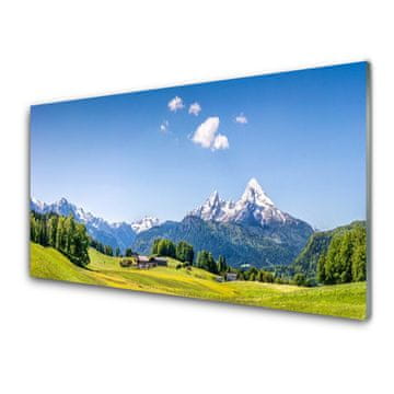 tulup.si Steklena slika Polja drevesa mountain landscape 2 obešalnika