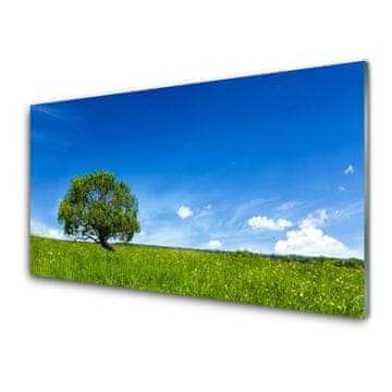 tulup.si Slika na akrilnem steklu Grass tree narava 4 obešalnika