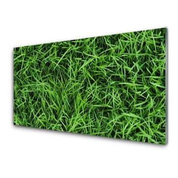 tulup.si Steklena slika Trava lawn 4 obešalnika