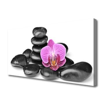 tulup.si Slika na platnu Flower stones art