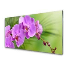 tulup.si Slika na steklu Orhideja orhideje 125x50 cm 4 obešalnika