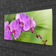 tulup.si Slika na steklu Orhideja orhideje 125x50 cm 4 obešalnika