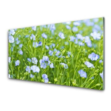 tulup.si Slika na akrilnem steklu Cvetovi rastlin grass nature 4 obešalnika