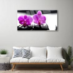 tulup.si Slika na akrilnem steklu Orhideje narava 100x50 cm 2 obešalnika