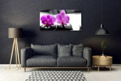 tulup.si Slika na akrilnem steklu Orhideje narava 100x50 cm 2 obešalnika