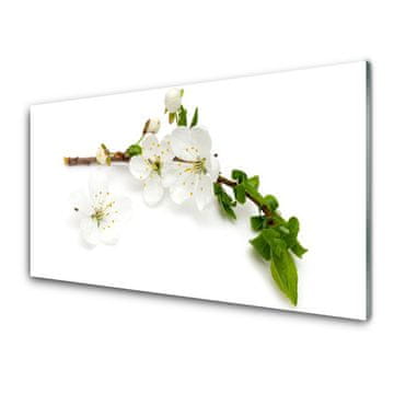 tulup.si Slika na akrilnem steklu Branch flower narava rastlin 2 obešalnika