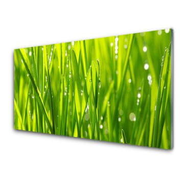 tulup.si Zidna obloga za kuhinju Grass nature rastlin