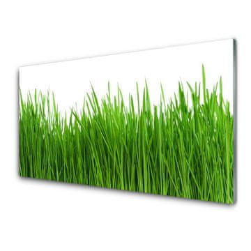 tulup.si Slika na akrilnem steklu Grass nature rastlin 4 obešalnika