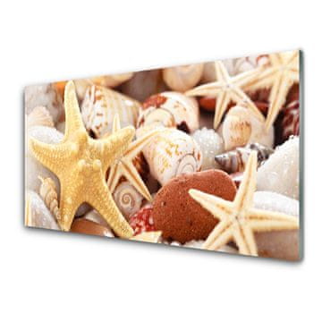 tulup.si Slika na akrilnem steklu Starfish školjke beach 4 obešalnika