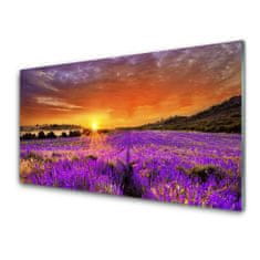 tulup.si Zidna obloga za kuhinju Sunset lavender polje 100x50 cm
