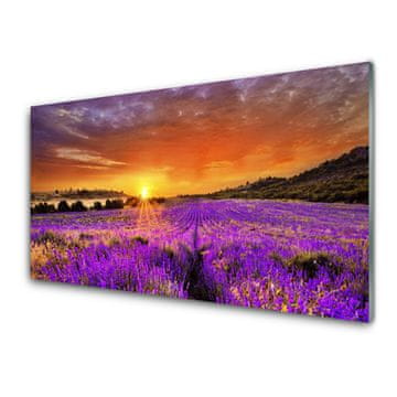 tulup.si Slika na akrilnem steklu Sunset lavender polje 4 obešalnika