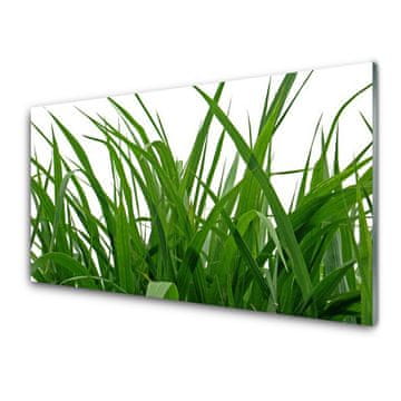 tulup.si Zidna obloga za kuhinju Grass nature rastlin