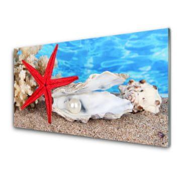 tulup.si Slika na akrilnem steklu Starfish školjke narava 4 obešalnika