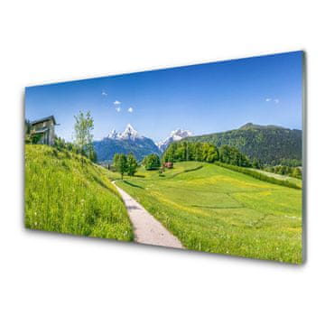 tulup.si Slika na akrilnem steklu Mountain travnik dolina pot 2 obešalnika