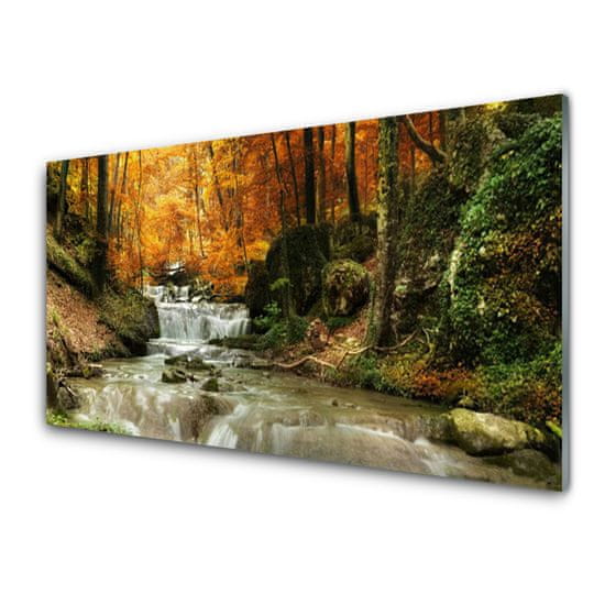 tulup.si Slika na steklu Forest slap narava
