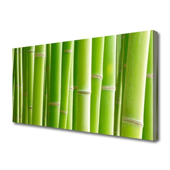 tulup.si Slika na platnu Bambus stem flower rastlin