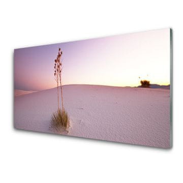 tulup.si Slika na akrilnem steklu Pesek desert landscape 4 obešalnika