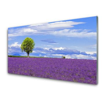 tulup.si Slika na steklu Polje sivke nature tree 4 obešalnika