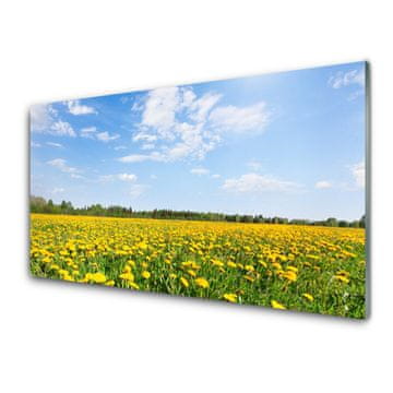 tulup.si Slika na akrilnem steklu Dandelion travnik 4 obešalnika