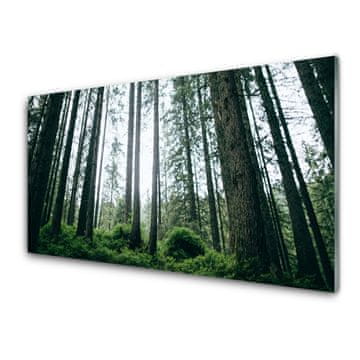 tulup.si Slika na akrilnem steklu Narava gozdnega drevja 2 obešalnika