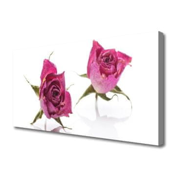 tulup.si Slika na platnu Roses flowers rastlin