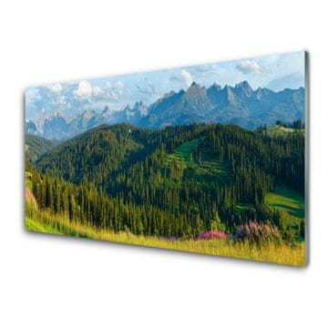 tulup.si Zidna obloga za kuhinju Mount forest narava