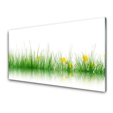 tulup.si Slika na akrilnem steklu Narava grass flowers 2 obešalnika
