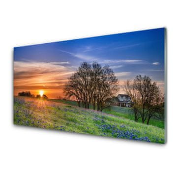 tulup.si Slika na akrilnem steklu Sun travnik landscape 4 obešalnika