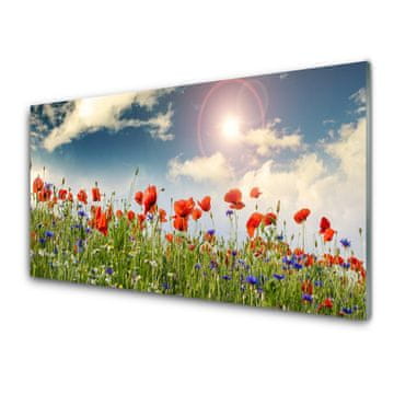 tulup.si Slika na steklu Sun travnik flowers narava 4 obešalnika