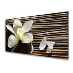 tulup.si Slika na akrilnem steklu Flower na wall 100x50 cm 2 obešalnika