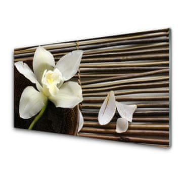 tulup.si Slika na akrilnem steklu Flower na wall 2 obešalnika