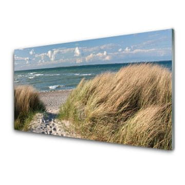 tulup.si Slika na akrilnem steklu Plaža sea grass landscape 2 obešalnika