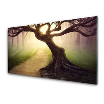 tulup.si Slika na steklu Tree sončnimi žarki 4 obešalnika